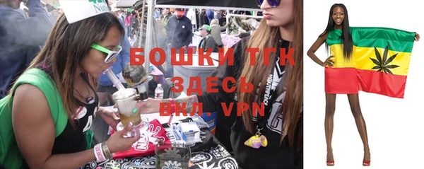 ГАЛЛЮЦИНОГЕННЫЕ ГРИБЫ Сафоново